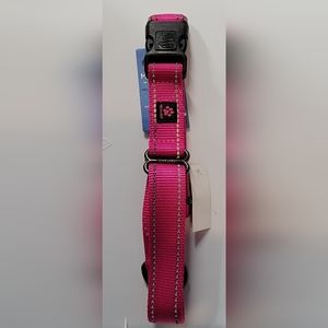 Martingale collar with buckle